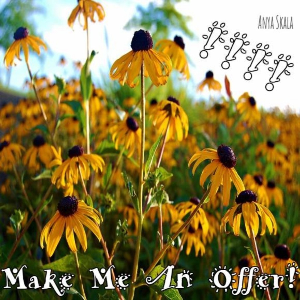Make me an offer! - Picture 1 of 1